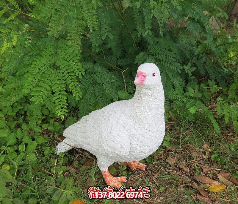 公園戶外樹脂擺件鴿子雕塑 公園戶外樹脂擺件鴿子雕塑